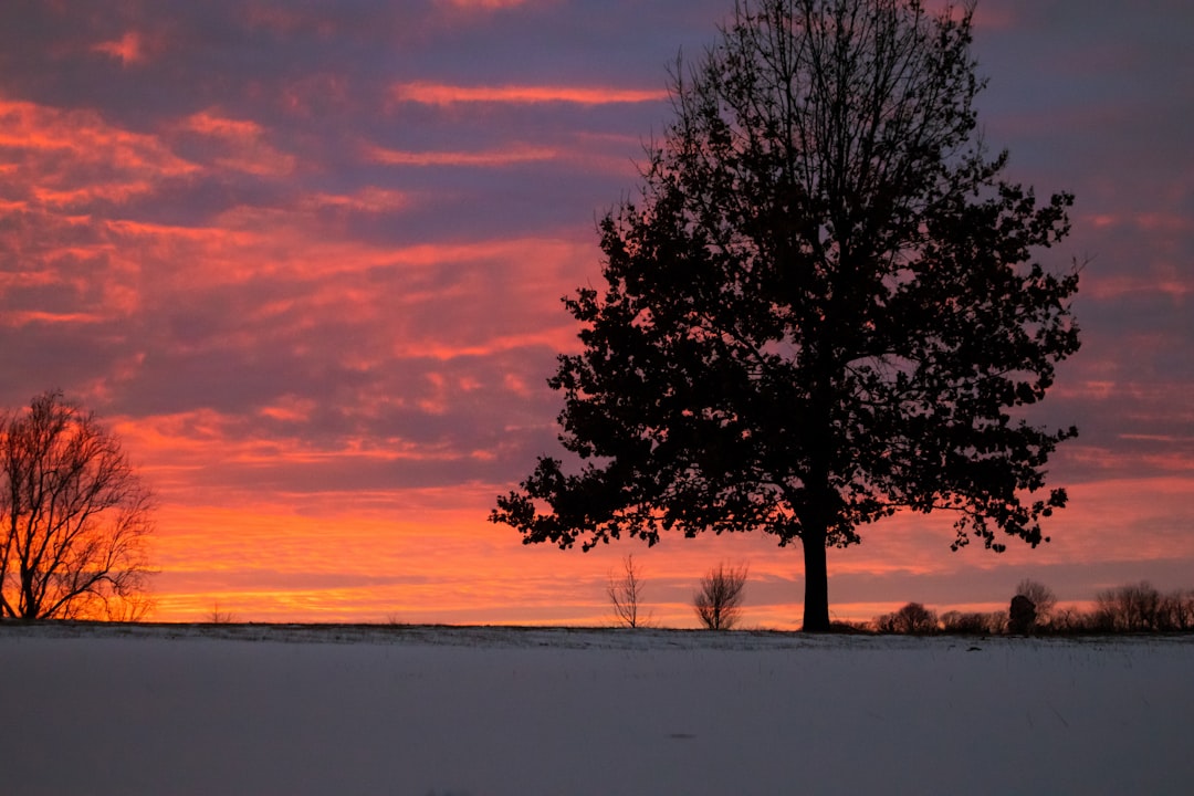 Photo Missouri landscape