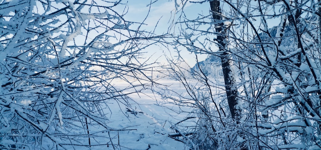 Photo Snow-capped mountains