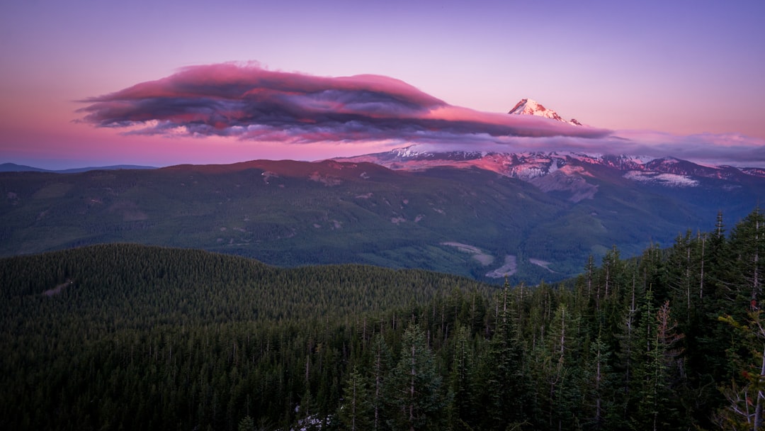 Photo Mount Hood