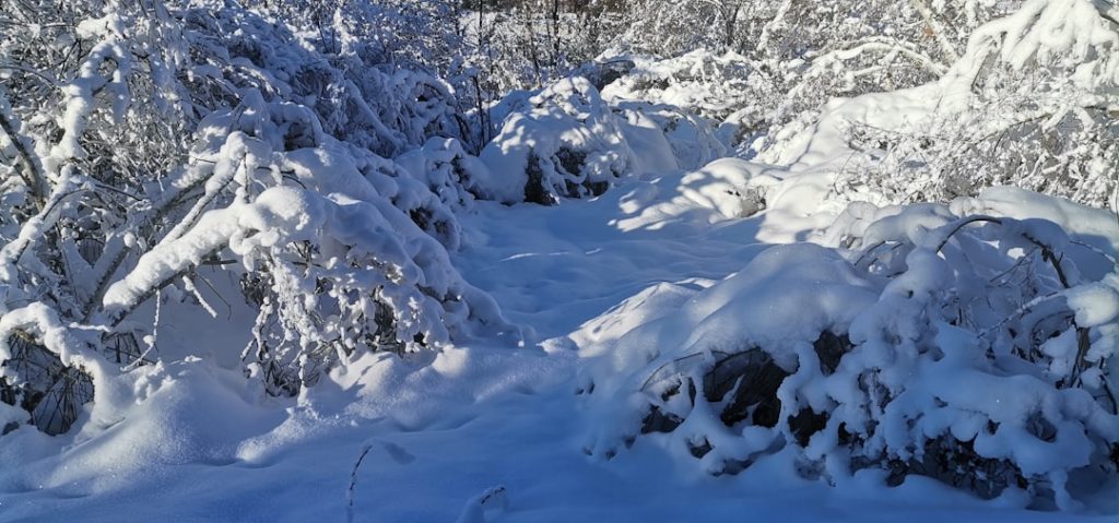 Fotografija Planine prekrivene snijegom