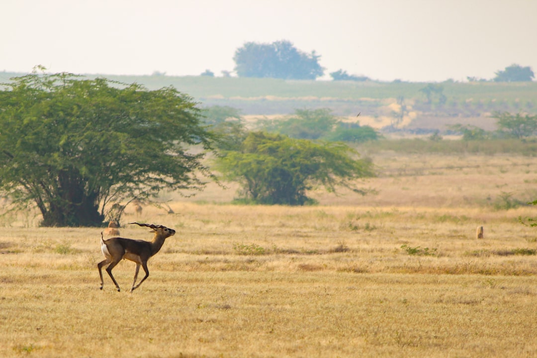 Photo Wildlife sanctuary