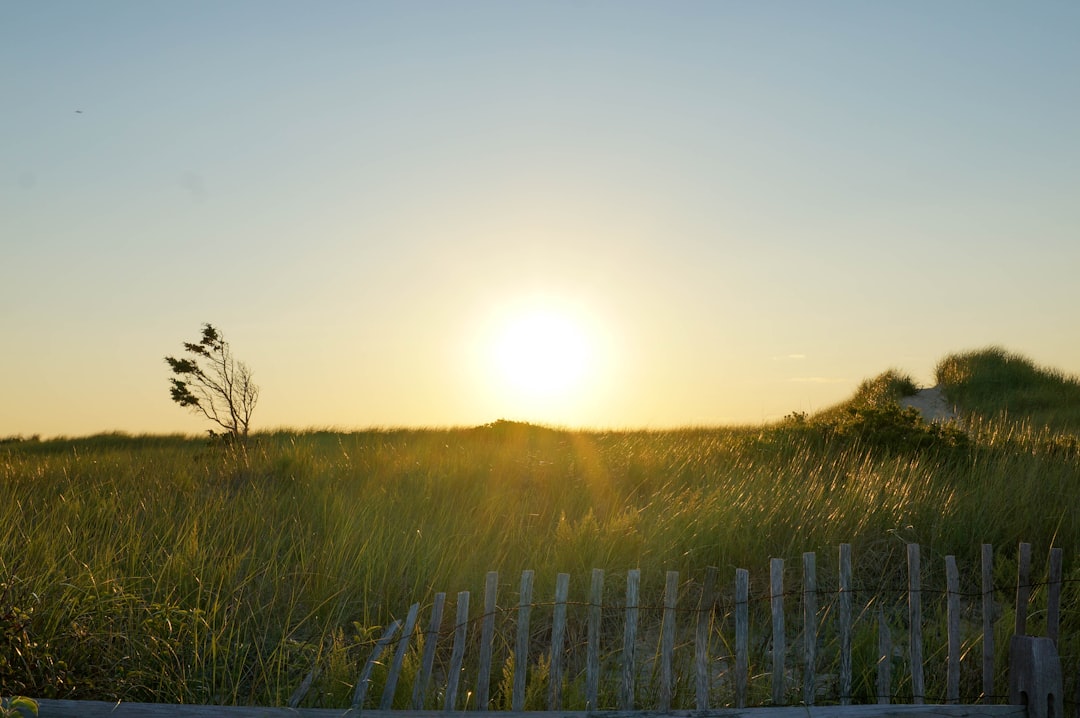 Photo Cape Cod