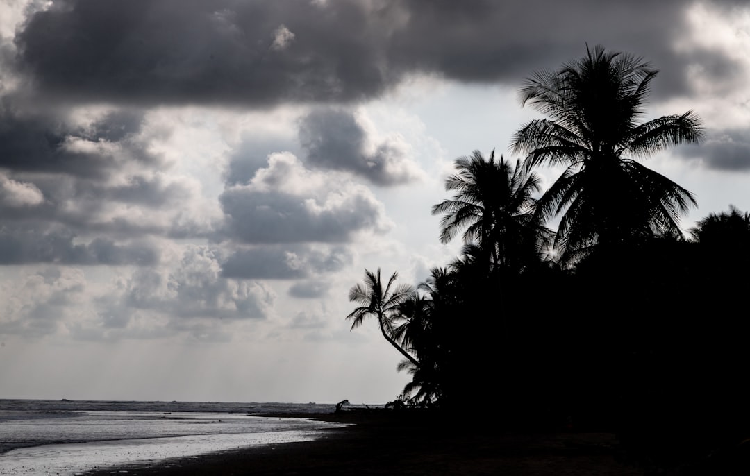 Photo Tropical beach